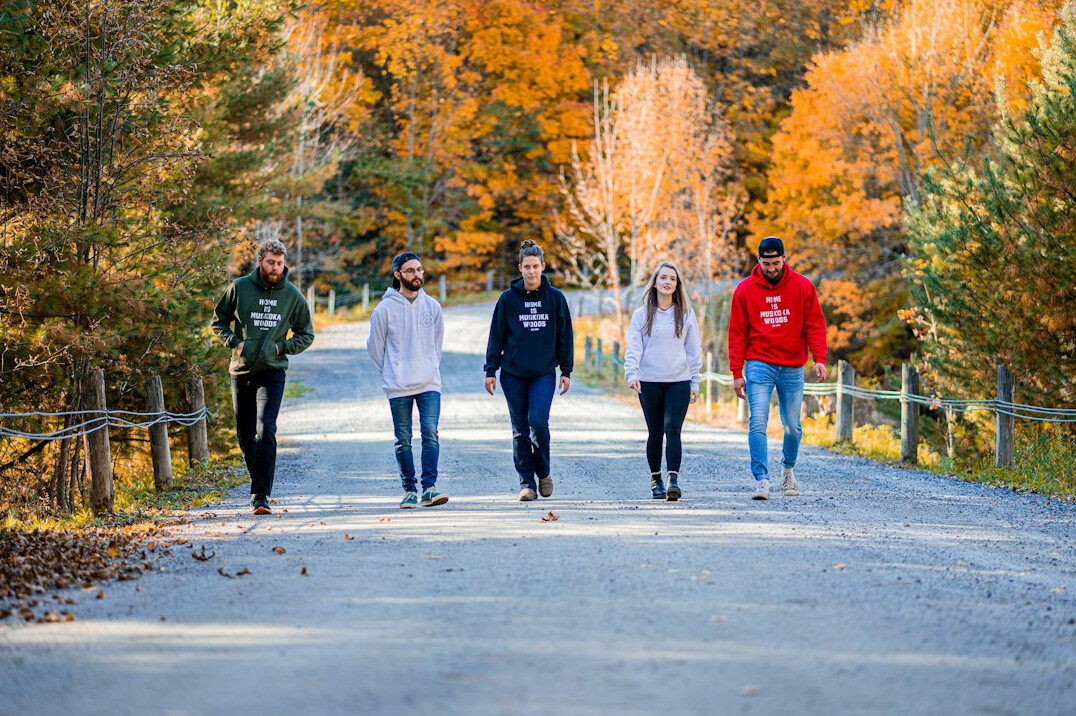 autumn team walk